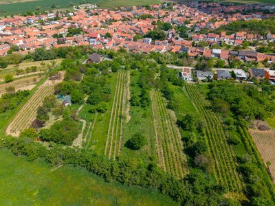 stavebni-pozemek-brno-blucina-12