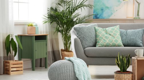 Homestaging
